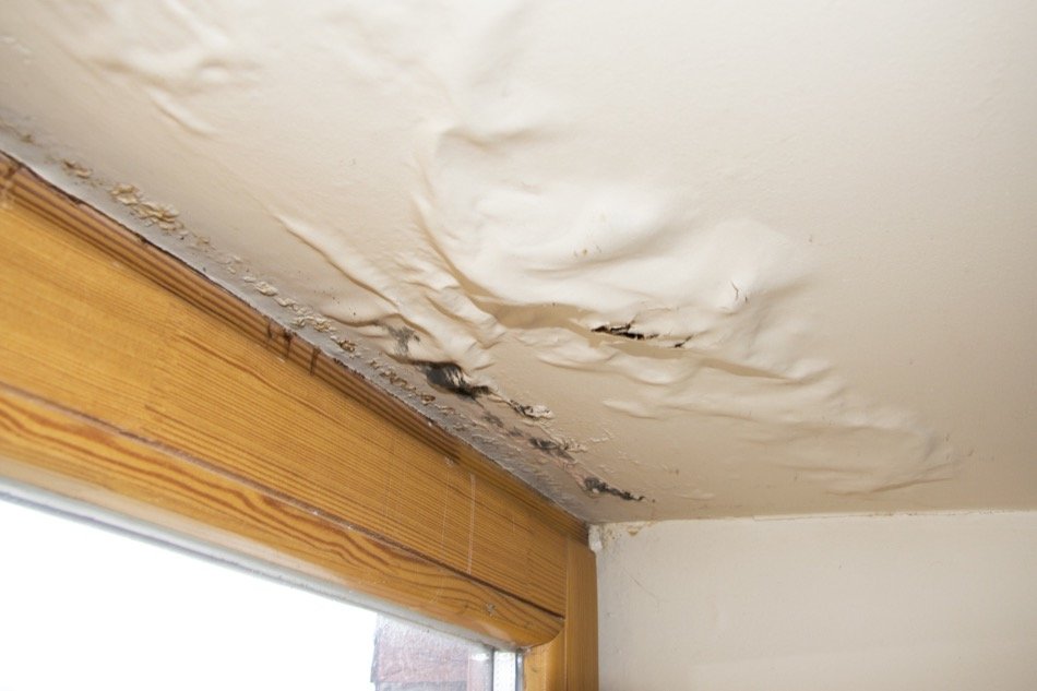 How to Remove Mould in the Home