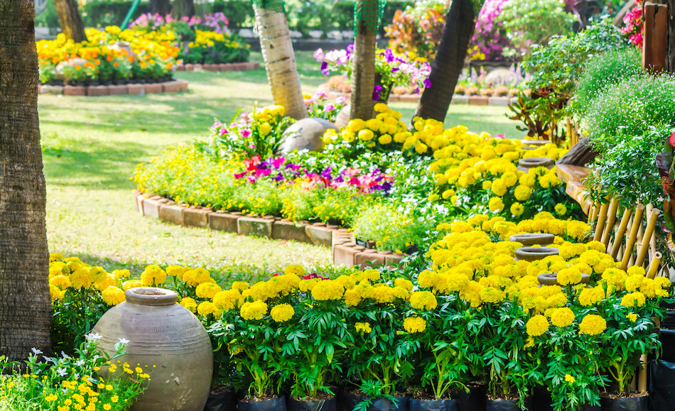 How Landscaping Can Make a Yard Beautiful